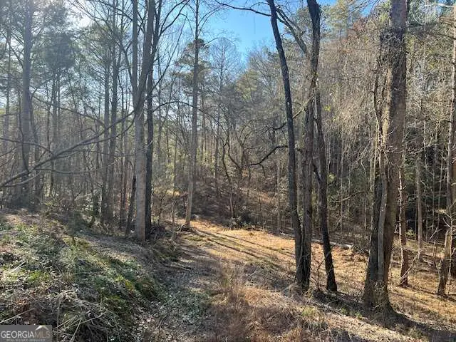 3 Old Miller Rock Road, Ellijay, GA 30540 - #3