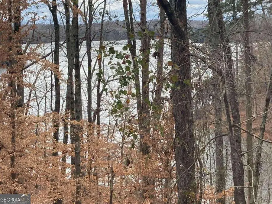 2510 Hidden Cove Court, Gainesville, GA 30501 - #2