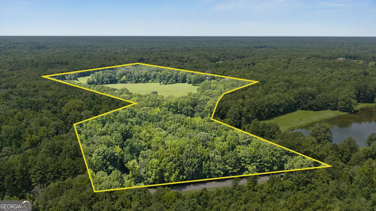 58 ACRES Rising Star Road, Brooks, GA 30205 - #1