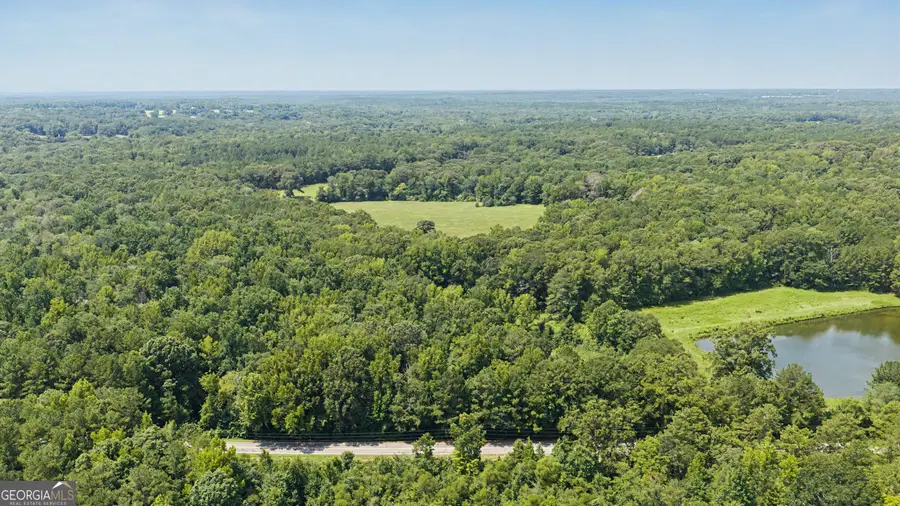 58 ACRES Rising Star Road, Brooks, GA 30205 - #2