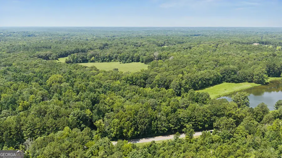 58 ACRES Rising Star Road, Brooks, GA 30205 - #3