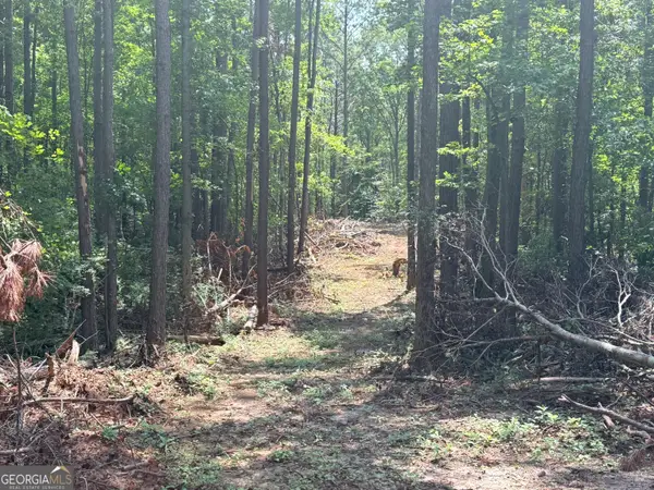6887 Mt Zion Road, Waco, GA 30182