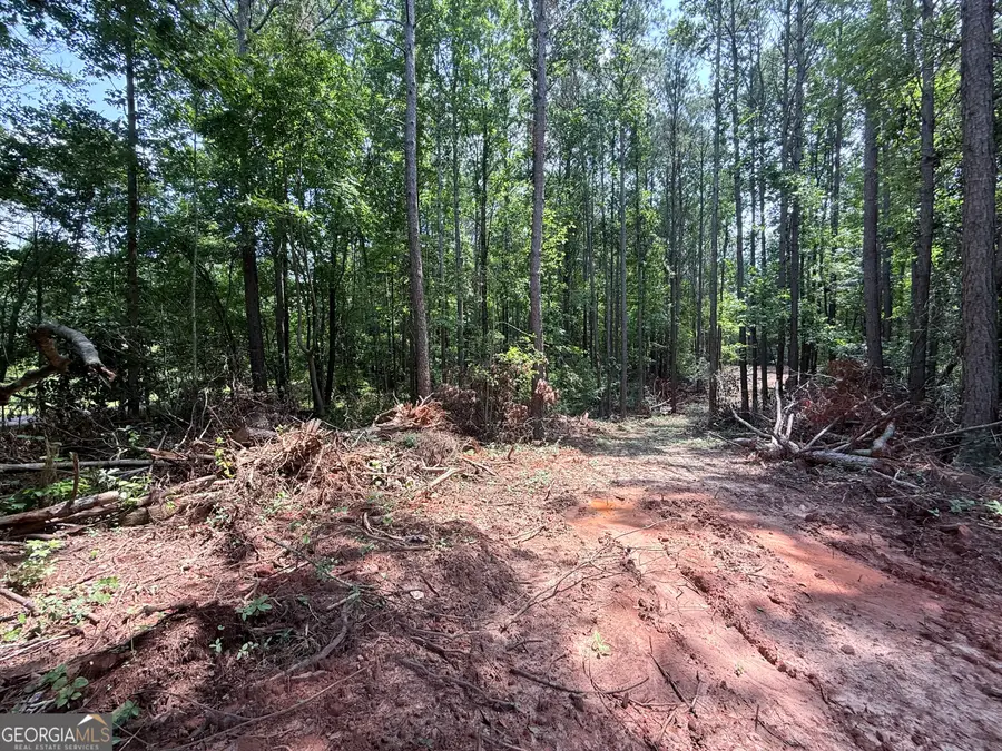6887 Mt Zion Road, Waco, GA 30182 - #3