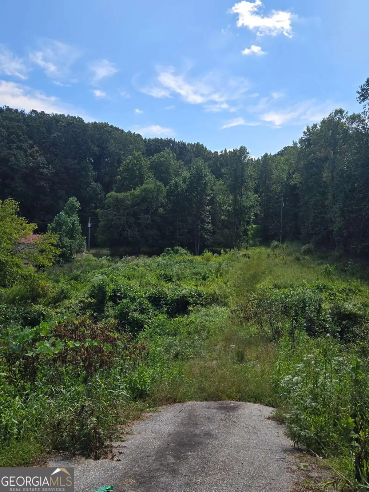 0 Highway 115 E, Cleveland, GA 30528 - #1
