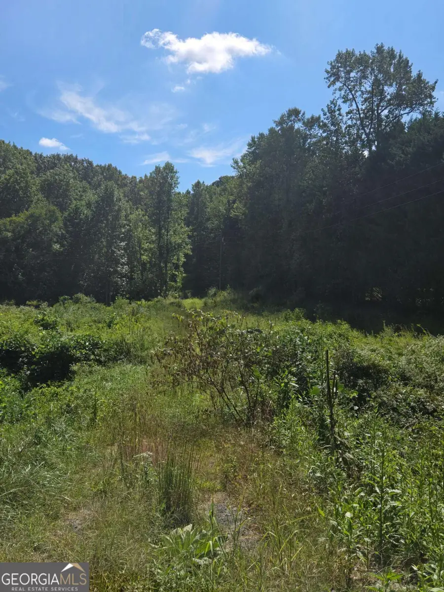 0 Highway 115 E, Cleveland, GA 30528 - #3