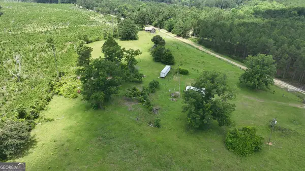 5257 Blume Road, Mitchell, GA 30820