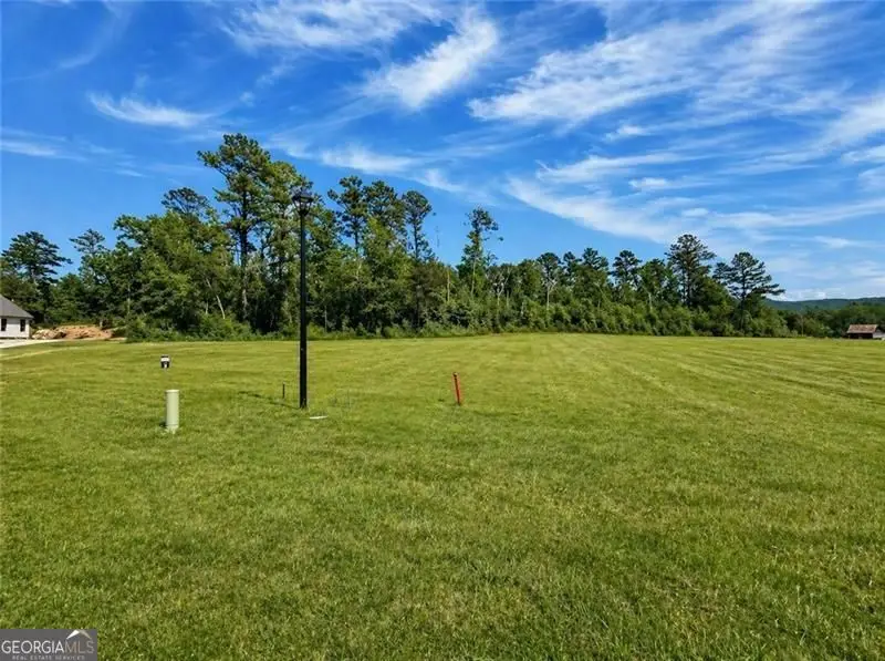 120 Palisade Drive, Rydal, GA 30171 - #1