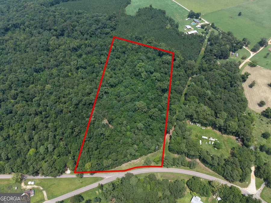 2 Mallorysville Road, Tignall, GA 30668 - #2