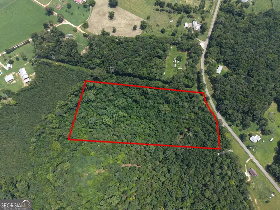 2 Mallorysville Road, Tignall, GA 30668 - #3