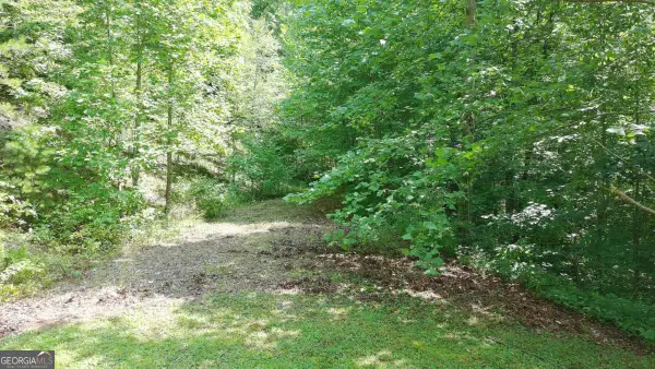 31 & 32 Wolfpen Gap Road, Hiawassee, GA 30546