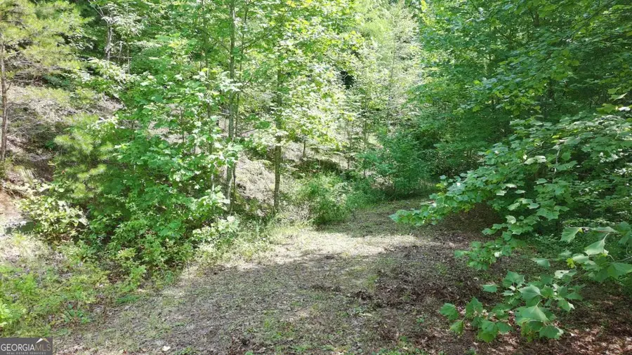 31 & 32 Wolfpen Gap Road, Hiawassee, GA 30546 - #3