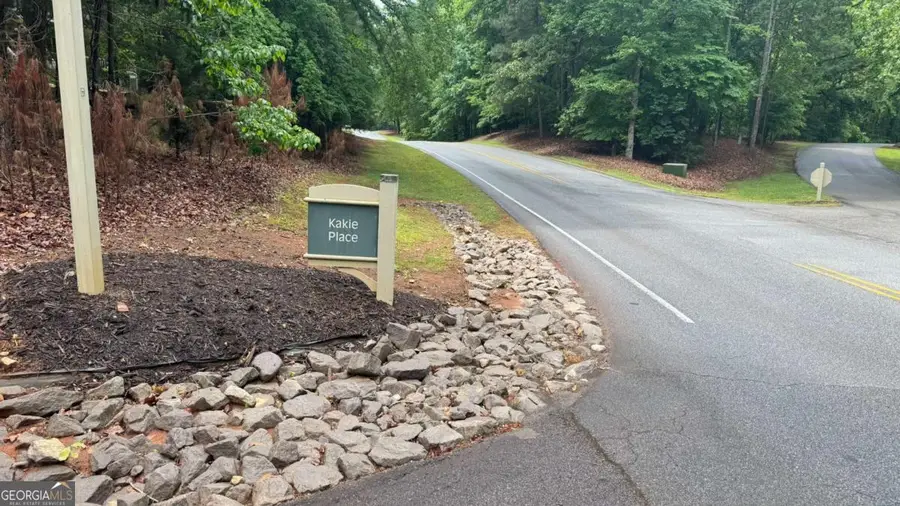 1011 Kakie Place, Greensboro, GA 30642 - #3