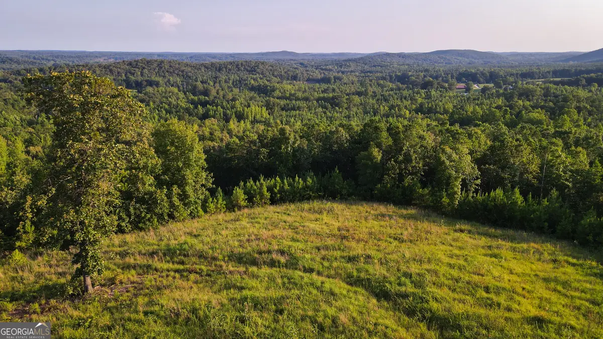 200 Tablee Lane, Ashland, AL 36251 - #1