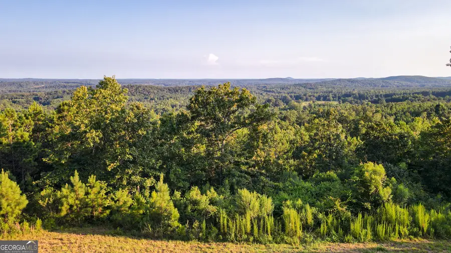 200 Tablee Lane, Ashland, AL 36251 - #2