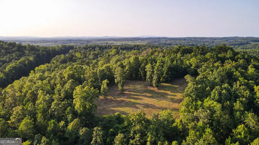 200 Tablee Lane, Ashland, AL 36251 - #3