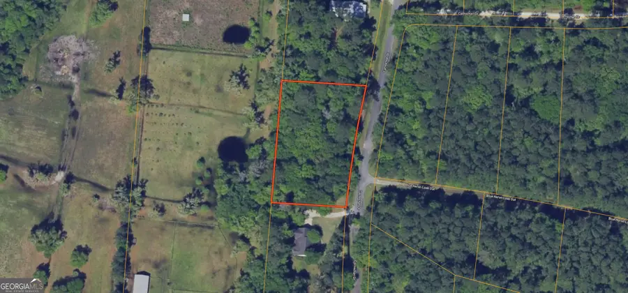 0 Carnochan Drive, Darien, GA 31305 - #2