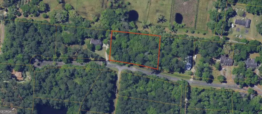 0 Carnochan Drive, Darien, GA 31305 - #3