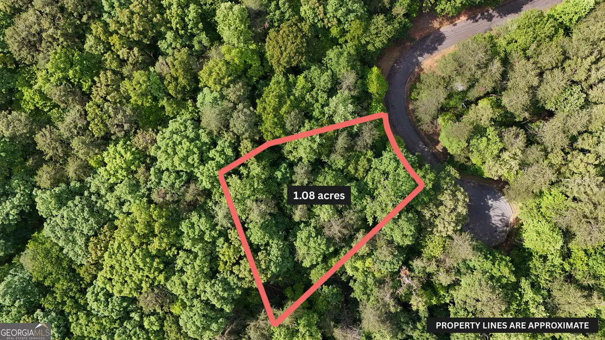 0 Terry Court, Clarkesville, GA 30523 - #1