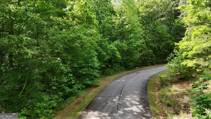0 Terry Court, Clarkesville, GA 30523 - #2