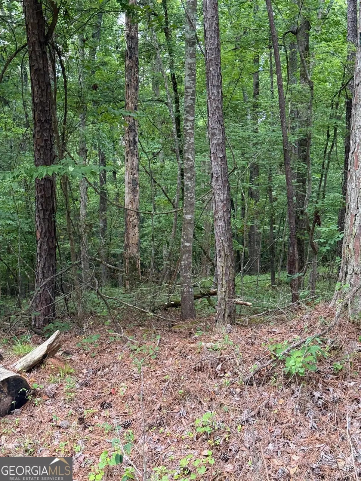 LOT 177 Laurel Way, Sparta, GA 31087 - #1