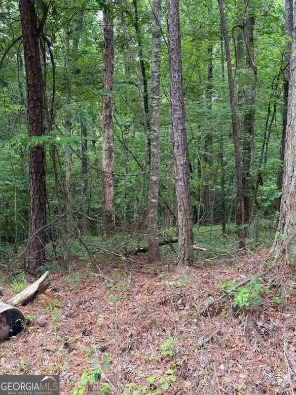 LOT 177 Laurel Way, Sparta, GA 31087