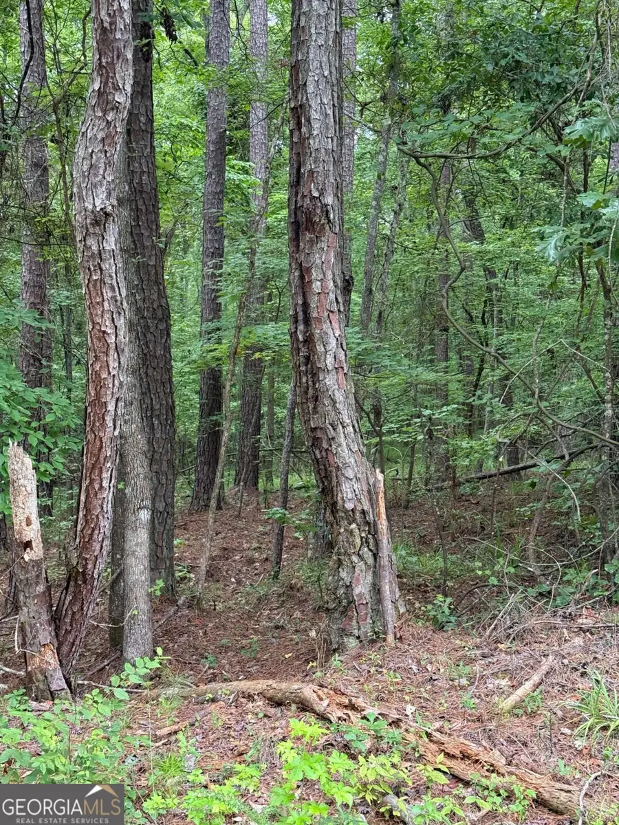 LOT 177 Laurel Way, Sparta, GA 31087 - #2