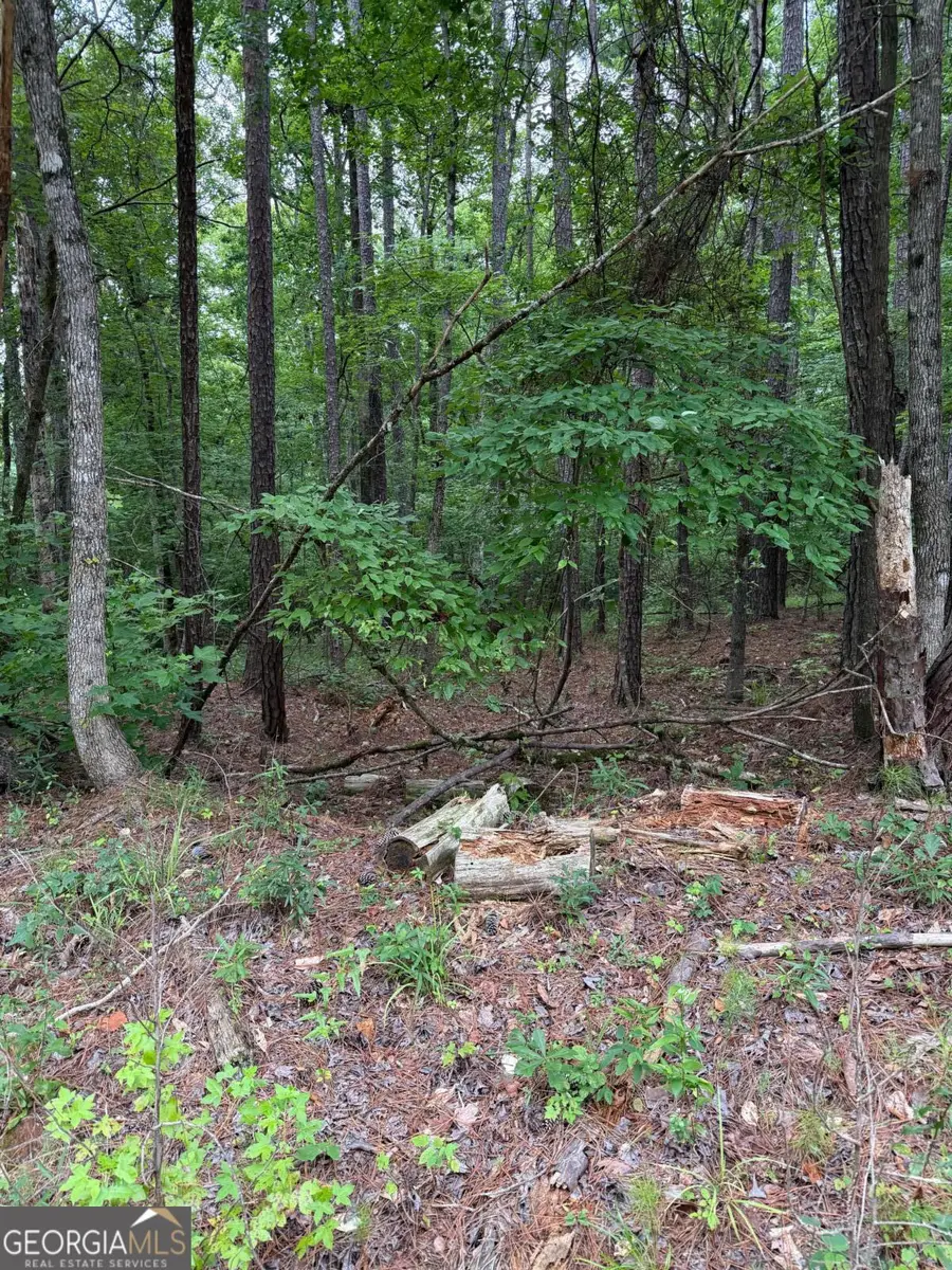 LOT 177 Laurel Way, Sparta, GA 31087 - #3