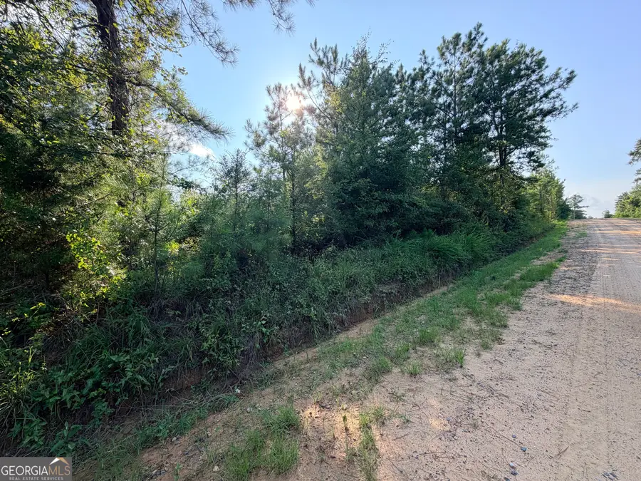 0 Hollis Road, Roberta, GA 31078 - #2