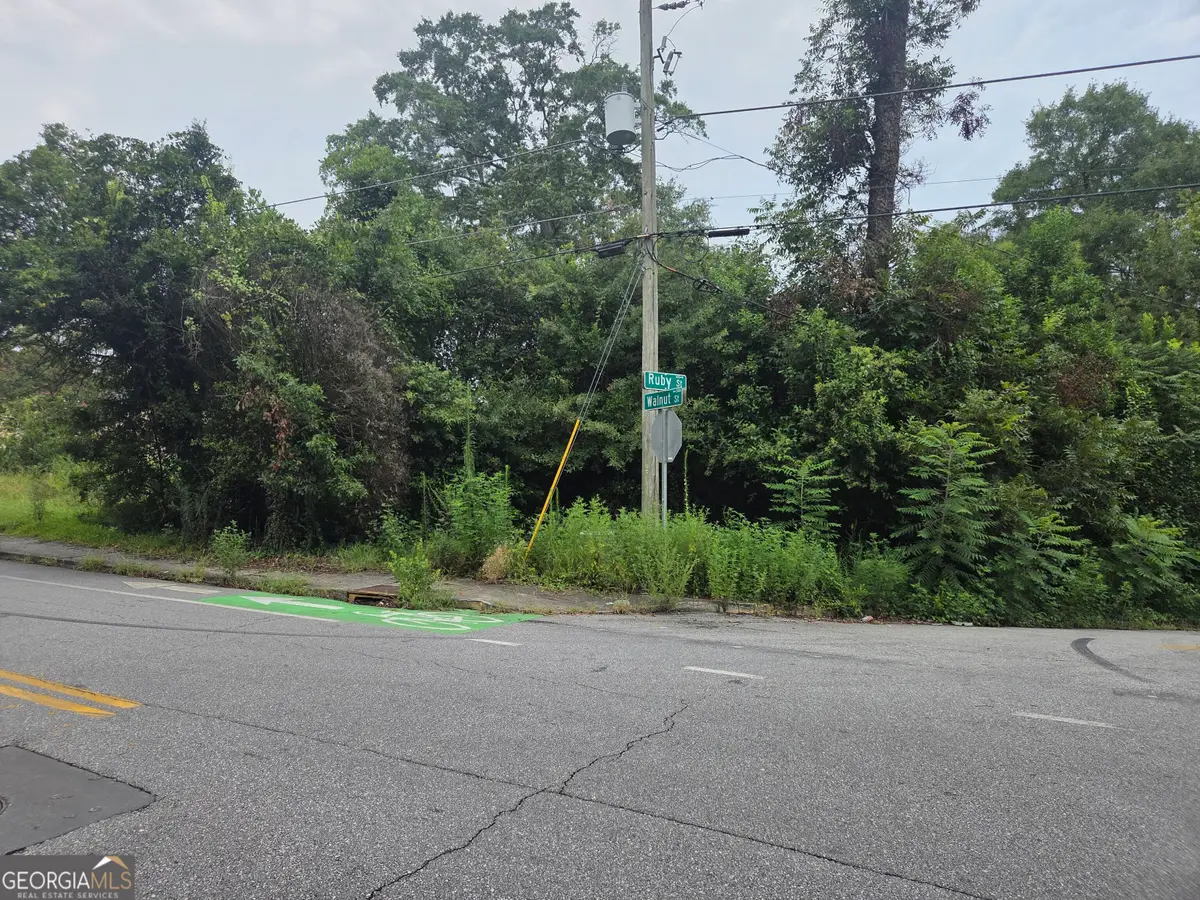 2089 Walnut Street, Macon, GA 31204 - #1
