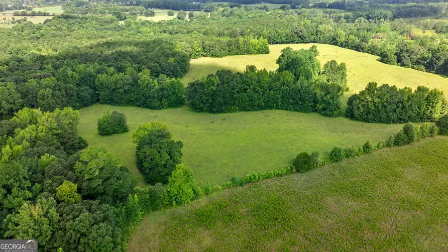 0 Ray Road, Gay, GA 30218 - #3
