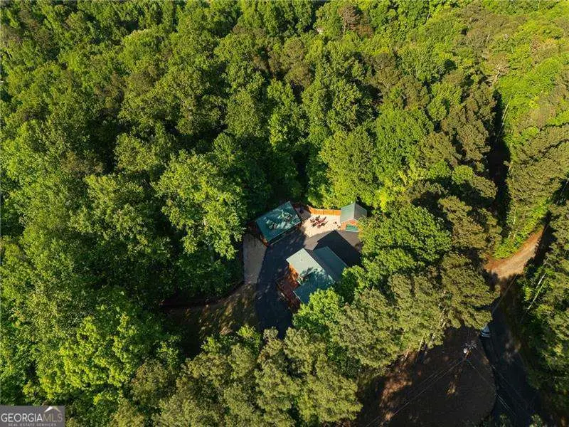 311 Woodland Brook Drive, Canton, GA 30115 - #3