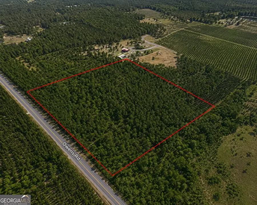 9.01 ACRES Livingston Farm Road, McRae-helena, GA 31055 - #2