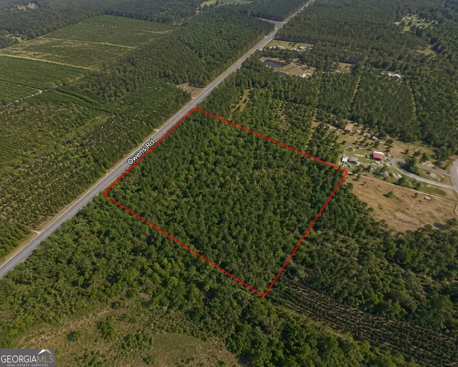 9.01 ACRES Livingston Farm Road, McRae-helena, GA 31055 - #3