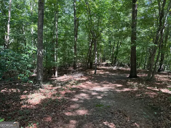 7 Ivy Hills Drive, Cleveland, GA 30528