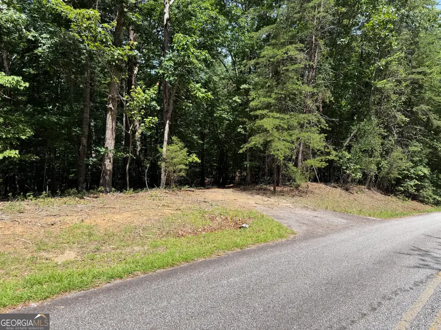 7 Ivy Hills Drive, Cleveland, GA 30528 - #2