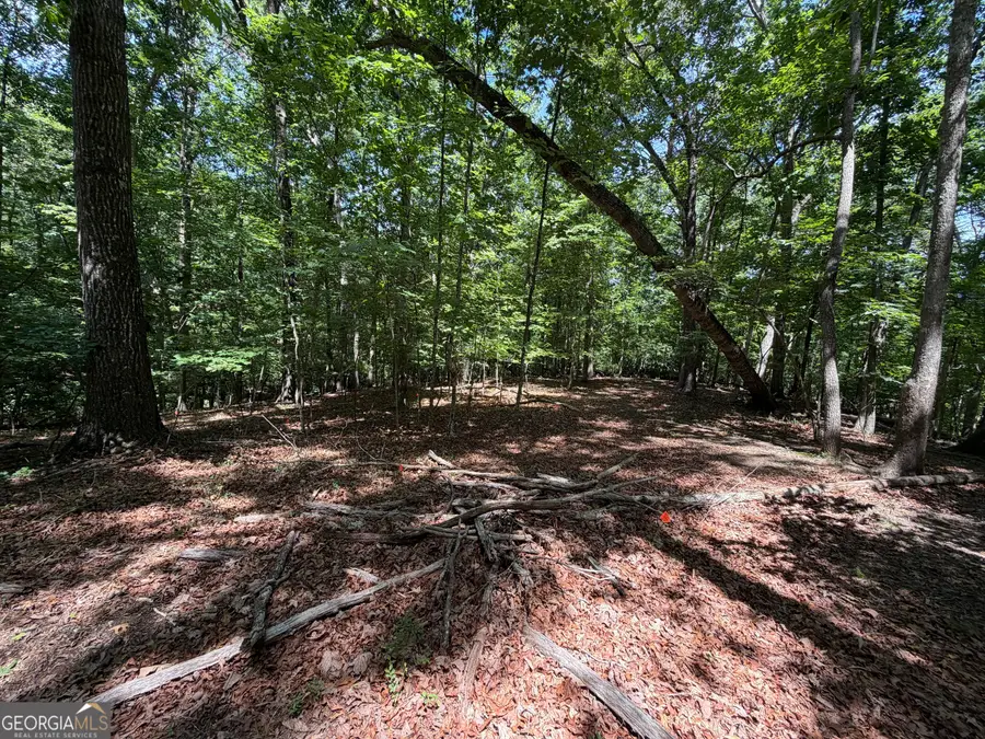7 Ivy Hills Drive, Cleveland, GA 30528 - #3
