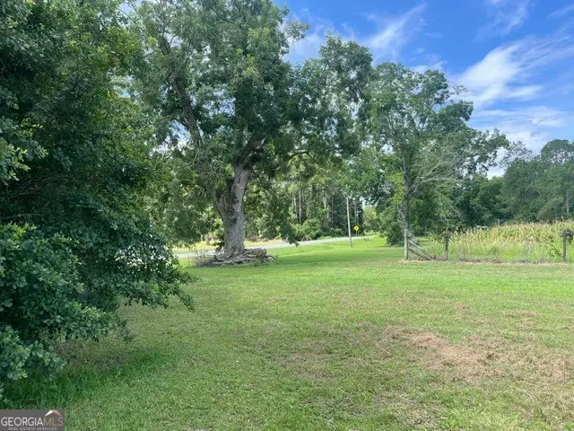 4180 Mcconnell Bridge Road, Adel, GA 31620 - #1