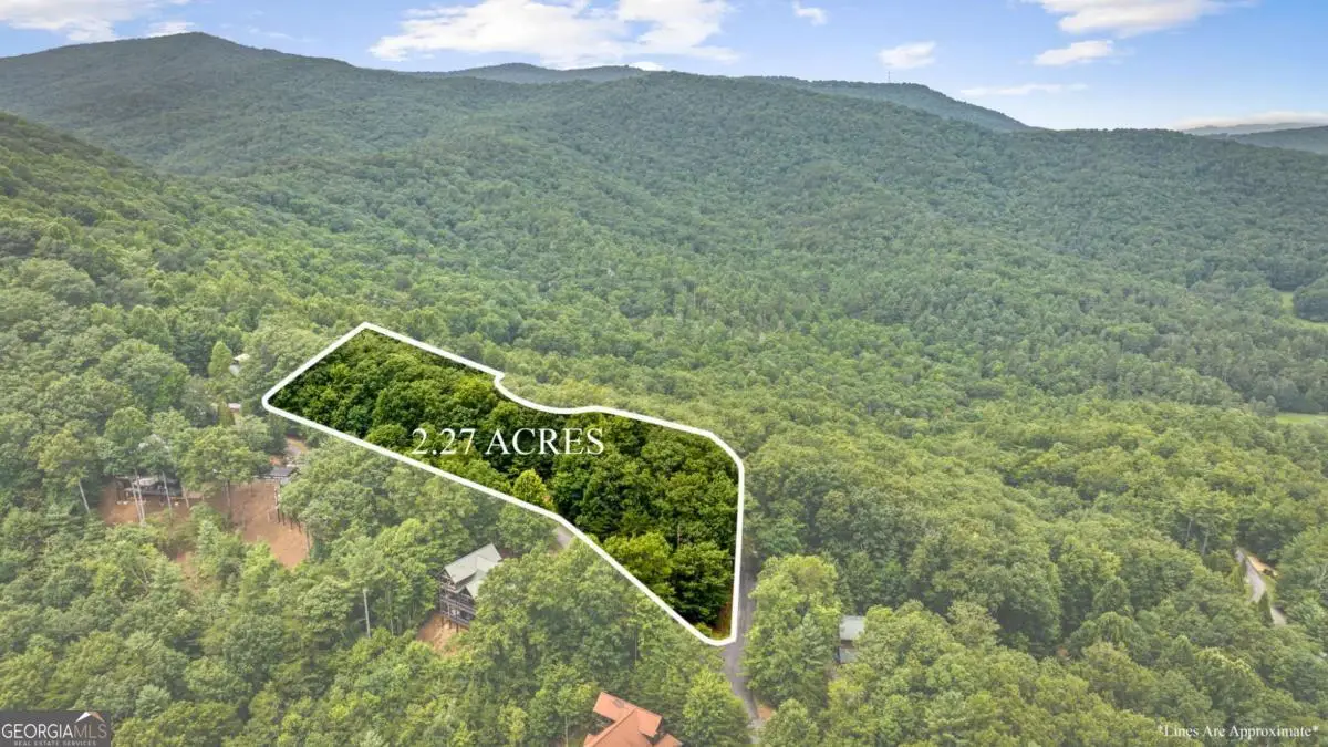 140 Bandit Lane, Blue Ridge, GA 30513 - #1