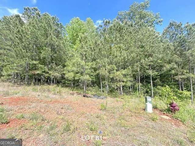 154 Oakdale Way, Temple, GA 30179 - #3
