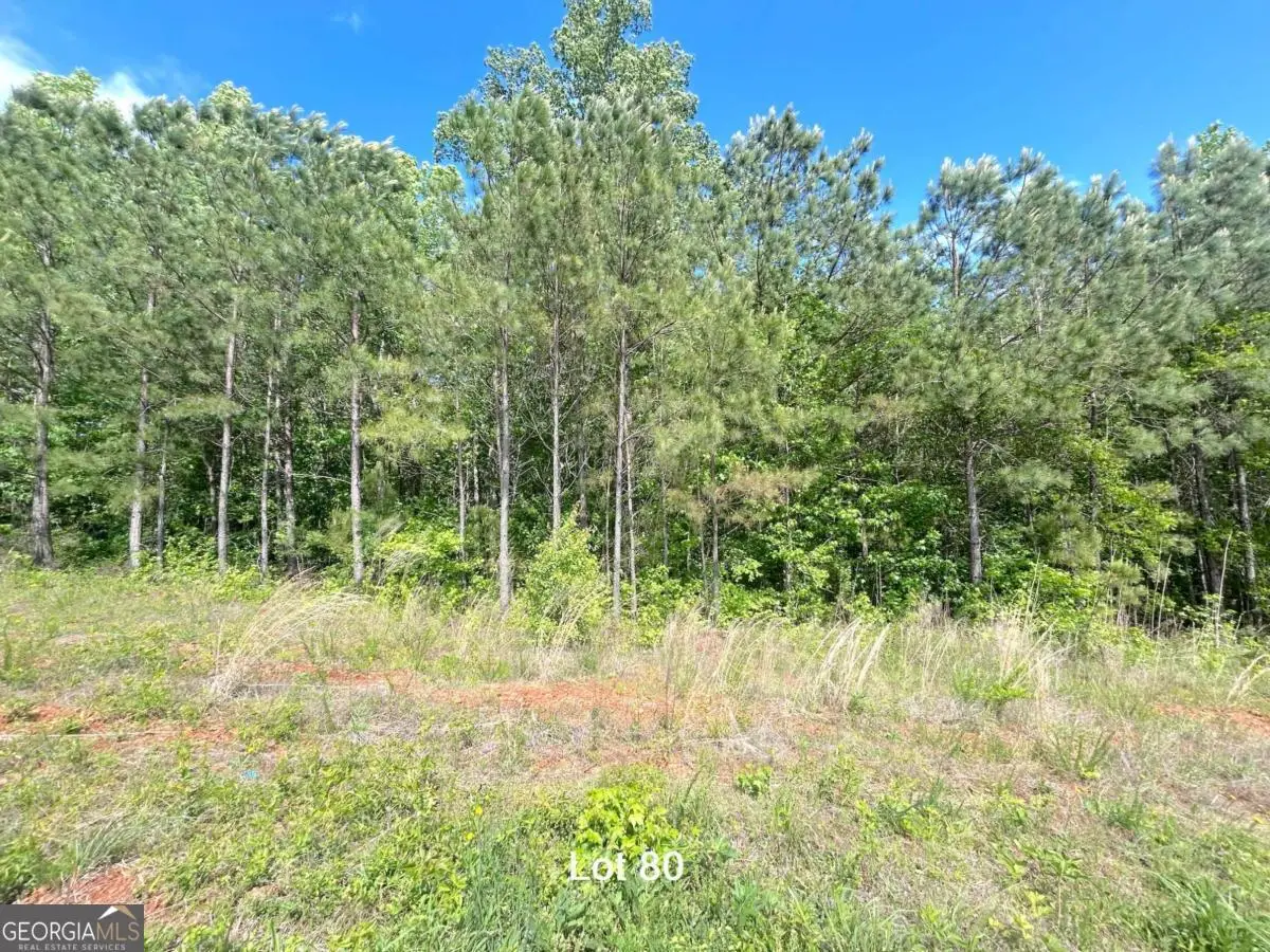 172 Oakdale Way, Temple, GA 30179 - #1