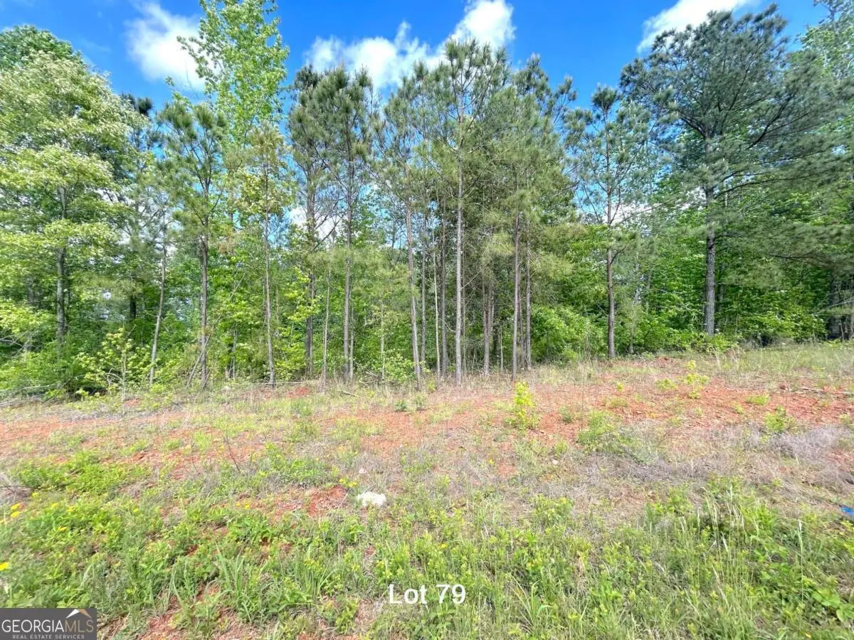 190 Oakdale Way, Temple, GA 30179 - #1