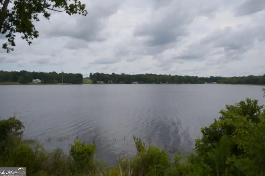 145 Lakeview Drive S, Ivey, GA 31031 - #3