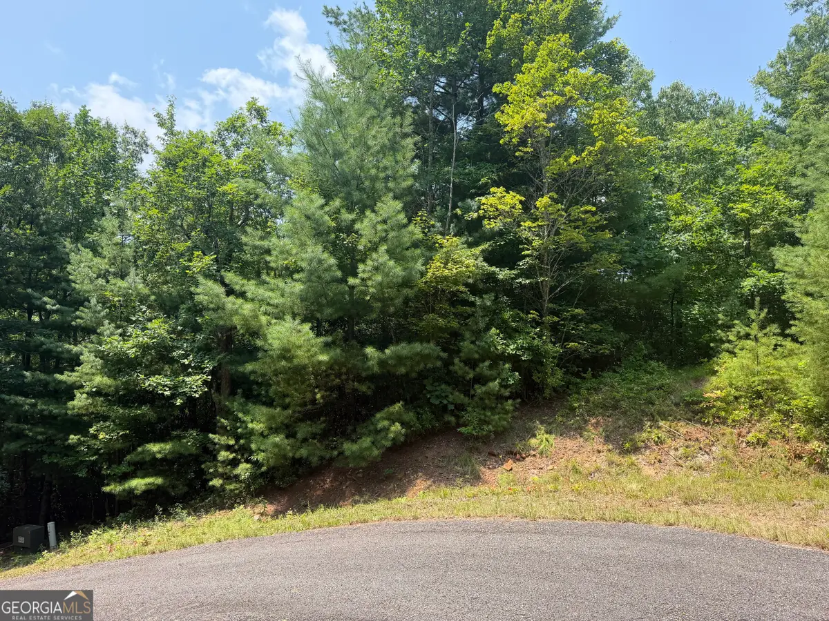 0 Whisper Ridge Court, Hiawassee, GA 30546 - #1