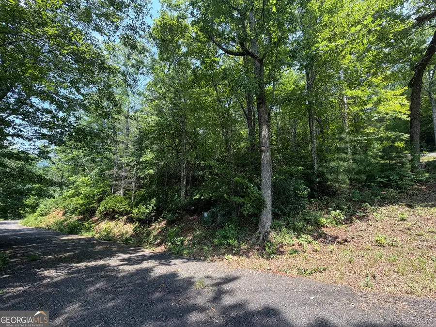 0 Whisper Ridge Court, Hiawassee, GA 30546 - #3