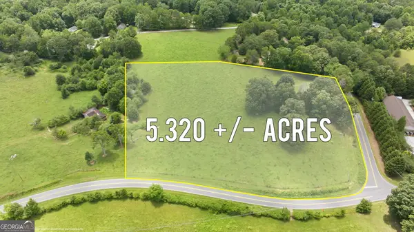 0 Double Bridge Connecter #LOT 3, Demorest, GA 30535