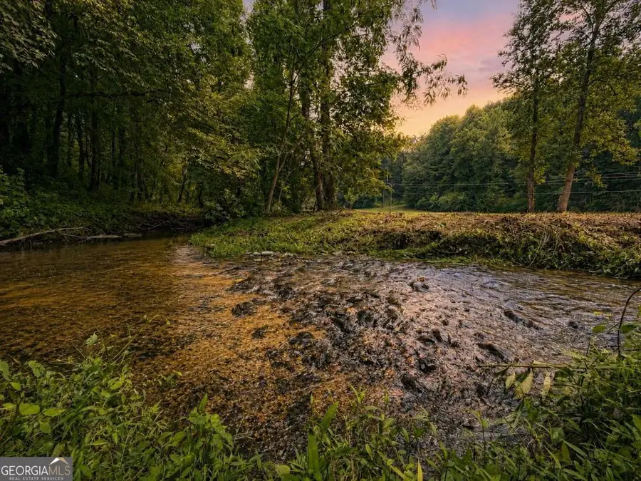 4.06 AC Licklog Trail, Ellijay, GA 30536 - #3