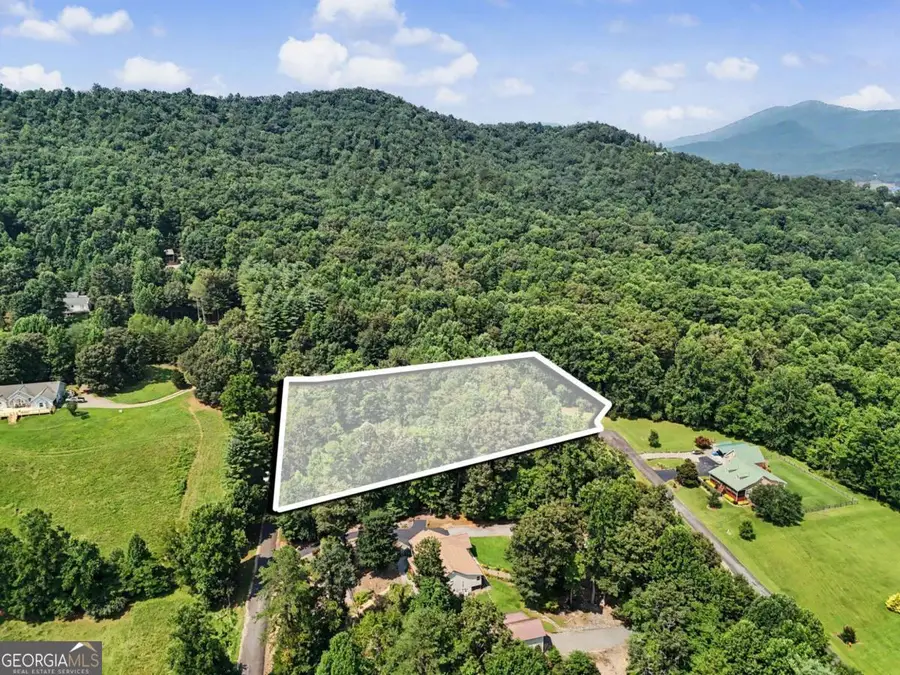 2360 Robin Hood Trail, Hiawassee, GA 30546 - #2