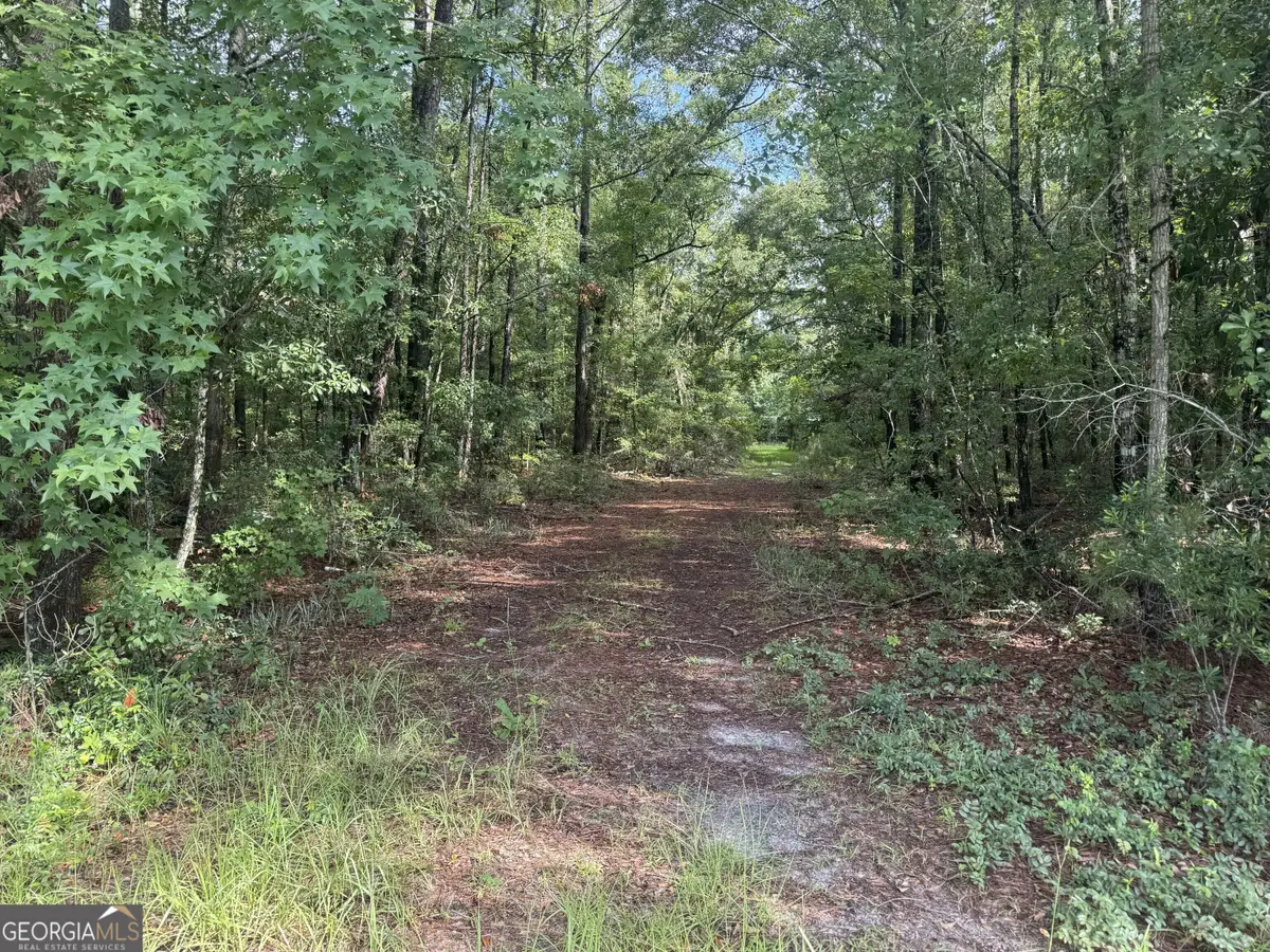68 Johnson Road, Richmond Hill, GA 31324 - #1