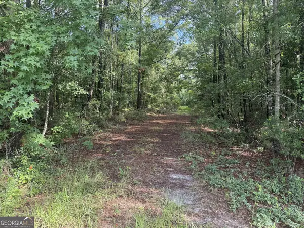 68 Johnson Road, Richmond Hill, GA 31324