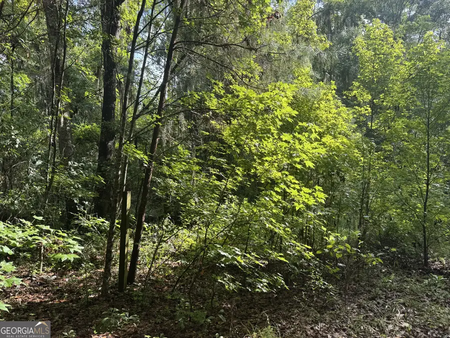 68 Johnson Road, Richmond Hill, GA 31324 - #3